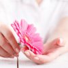 Woman hygiene conception. Pink flower gerbera in female hands